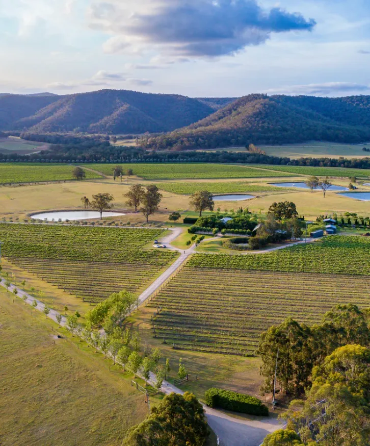 Krinklewood Organic & Biodynamic Estate photo