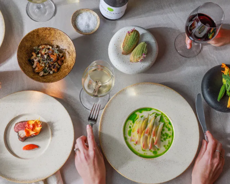 Provenance Wines