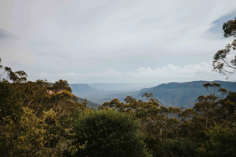 The Conservation Hut Cafe