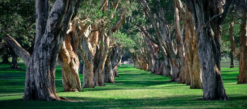 Centennial Parklands photo