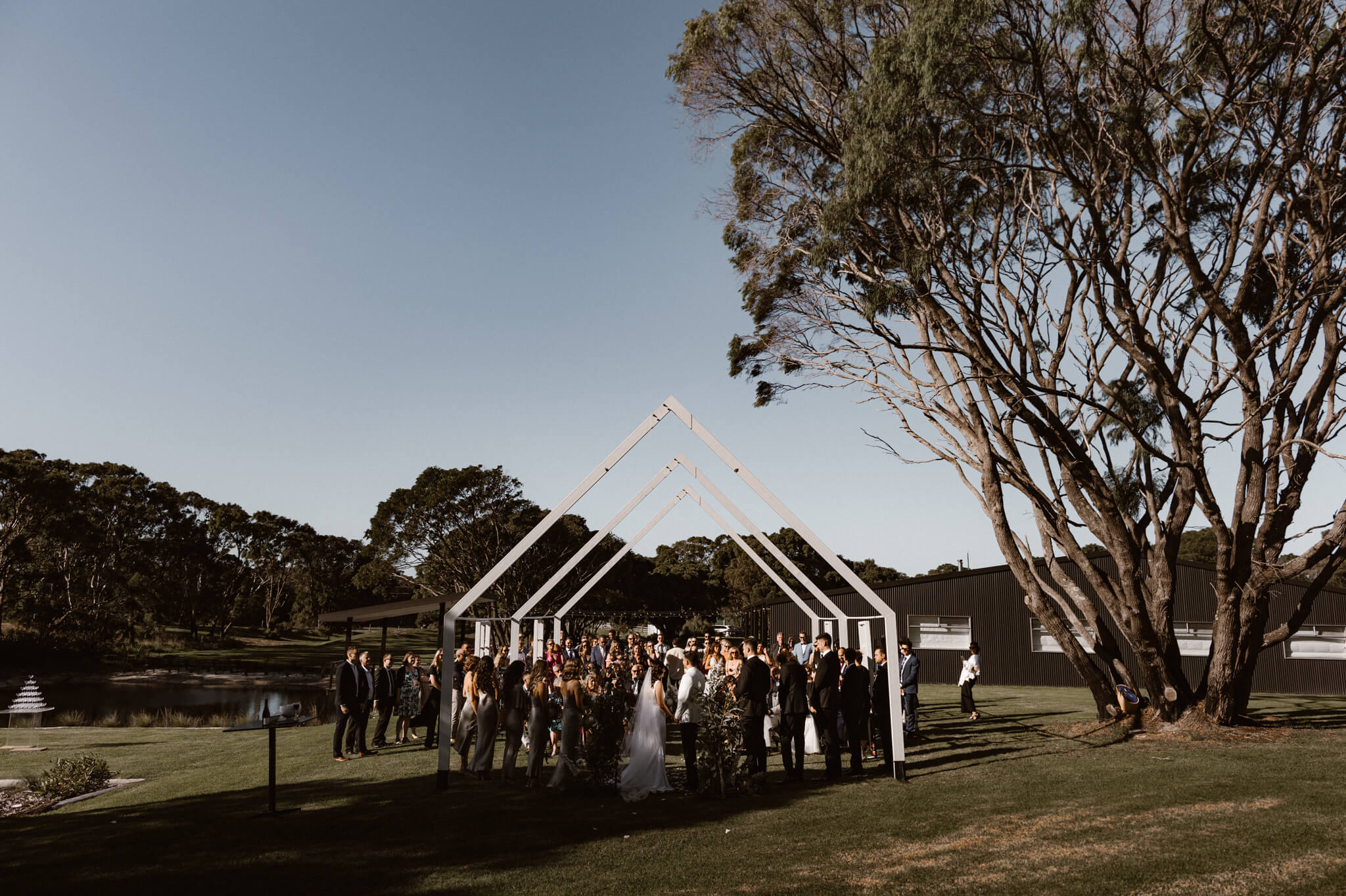 Stella’s video thumbnail