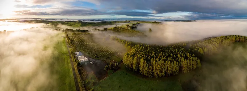 The Grove Gippsland