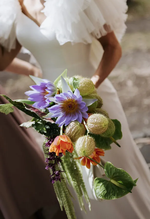 Anatomy of Flowers