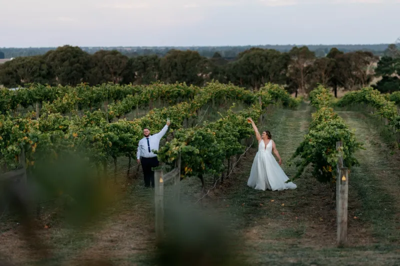 Vineyard Vibes