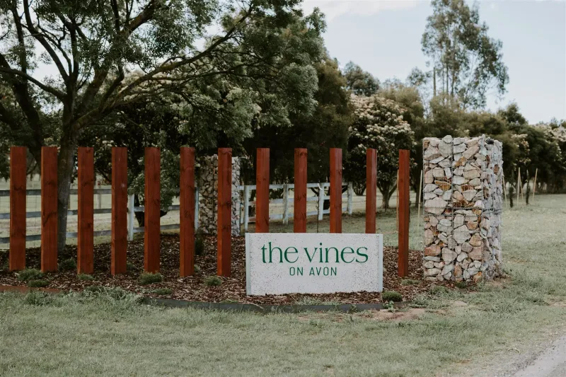 Vineyard Vibes