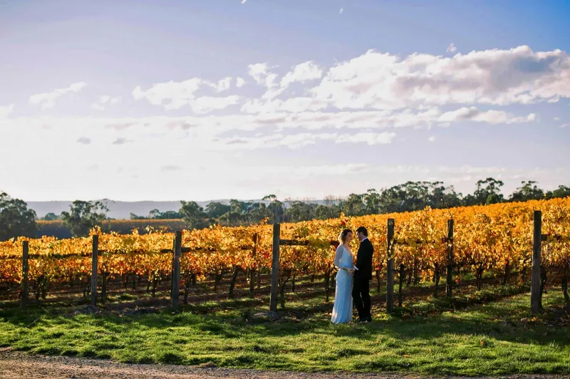 Vines of the Yarra Valley