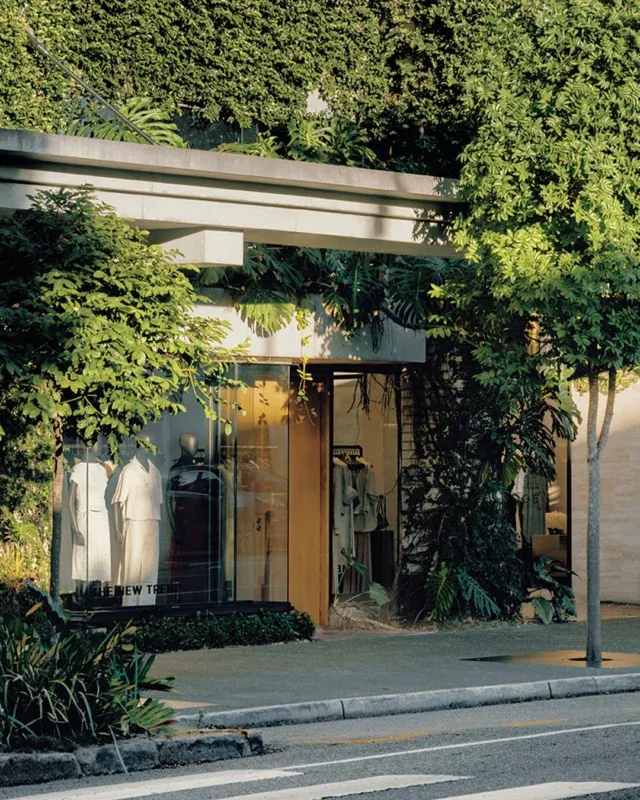 The Calile Hotel