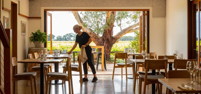 Lake Breeze Wines