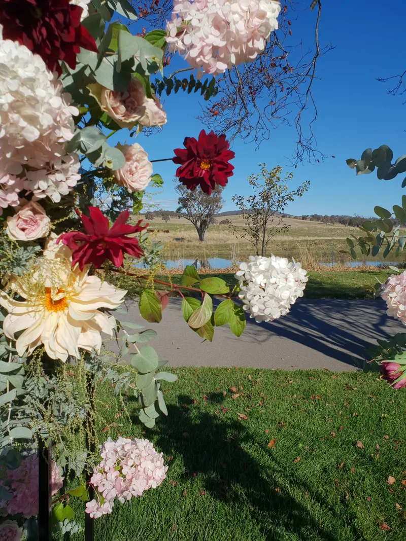Susanna Jose Ceremonies