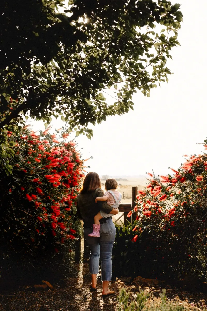 Alli Campbell Photography