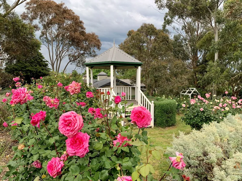 Dalywaters Rose Garden & Chapel