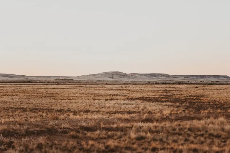 Hannah Gilbert Photographer