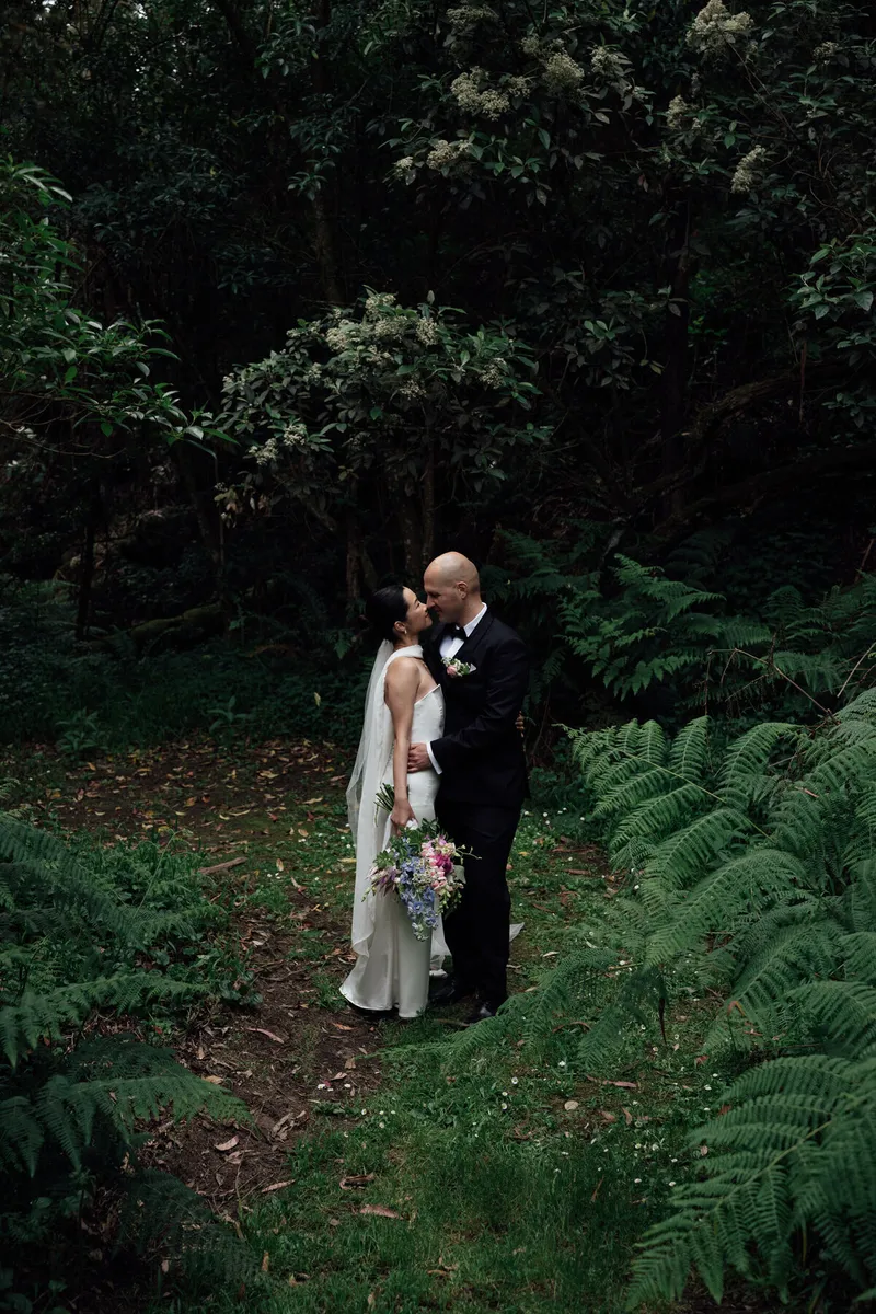 Forest and Peak Photography