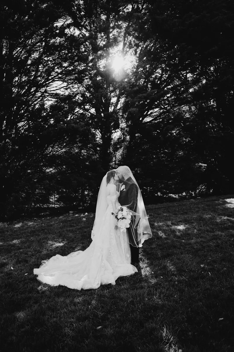 Forest and Peak Photography