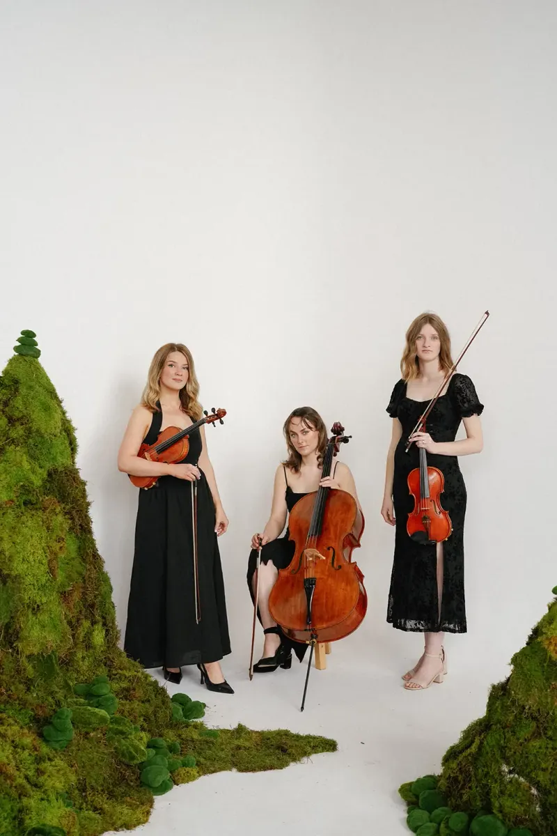 Behind The Veil Music photo