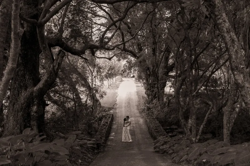 Nadine Saacks Photography