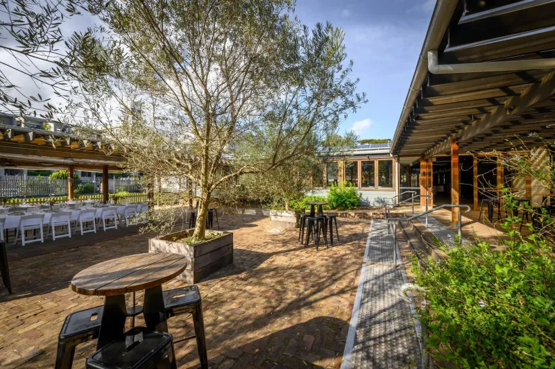 Camperdown Commons photo