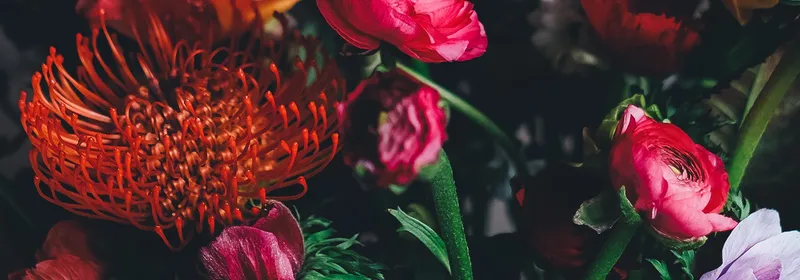 Sydney's Flowers