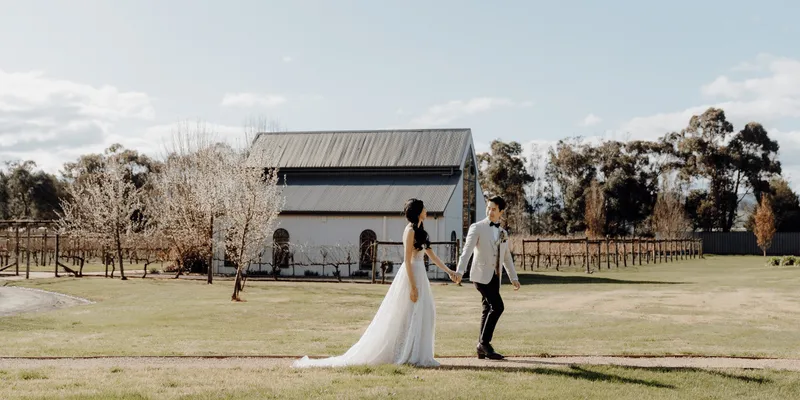 Immerse Winery