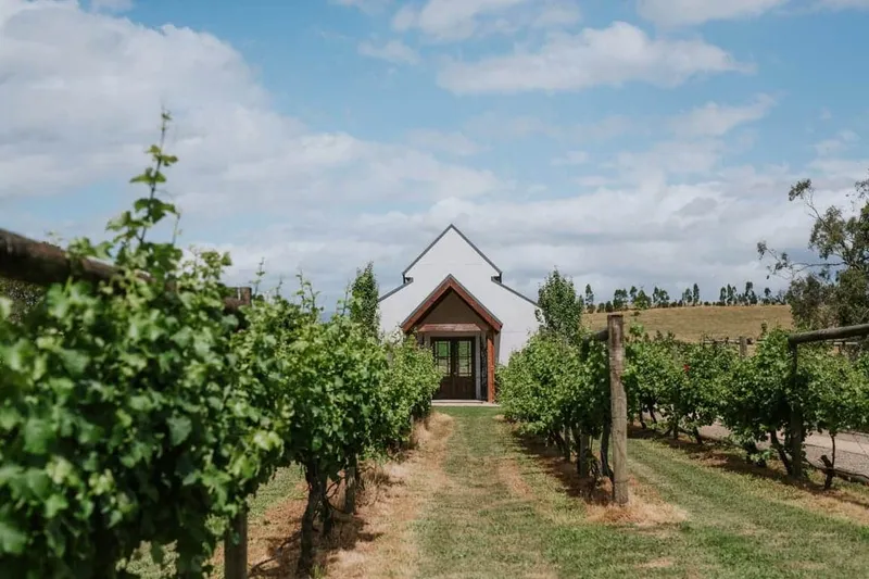 Immerse Winery