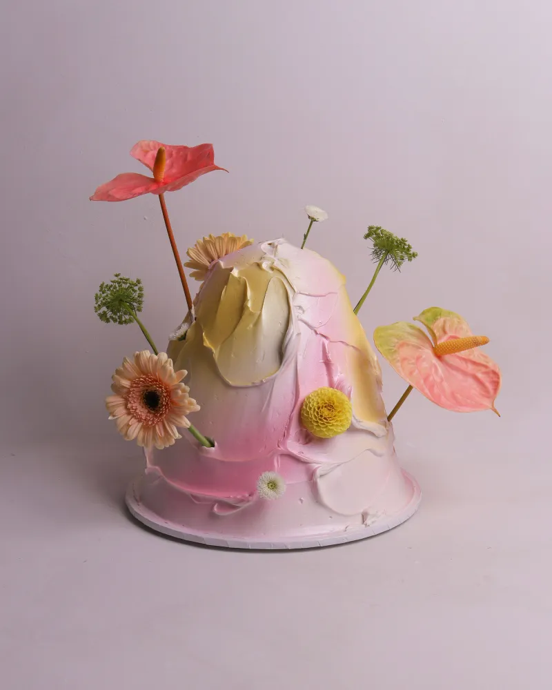 Cake Me Crazy