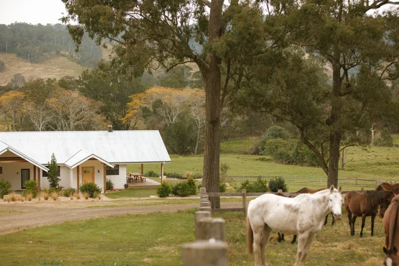 Wallaringa Farm photo