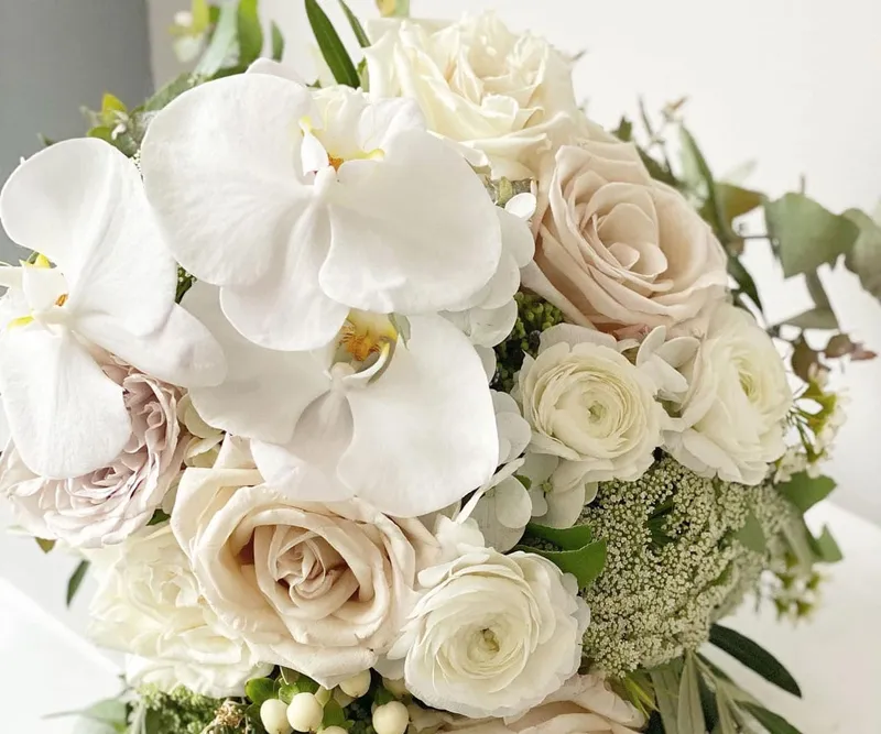 Wildbella Events