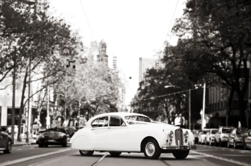 Celebrity Cars