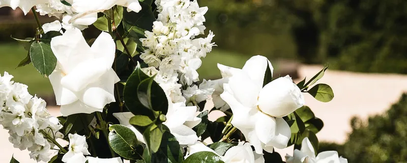 All About You Ceremonies