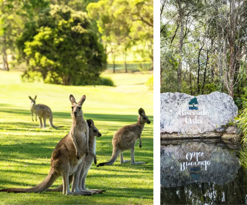 Riverside Oaks Golf Resort