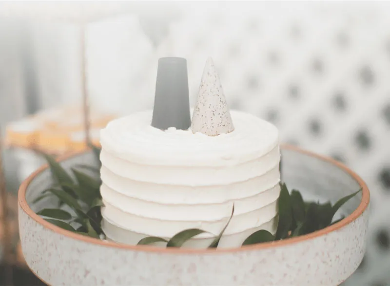 Debbie Payne, Celebrant