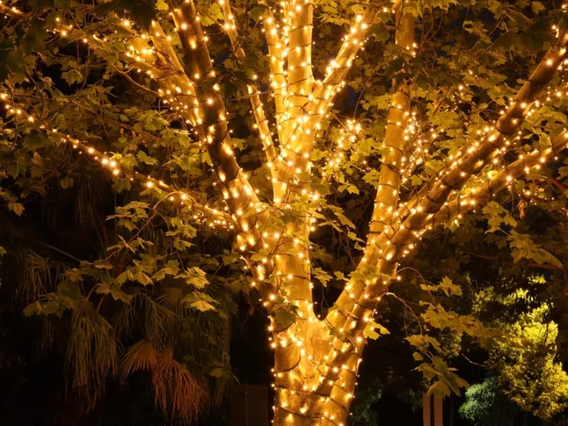 Festoon Lighting Sydney photo