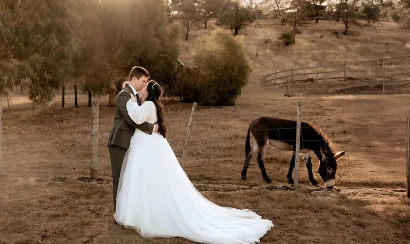 Imagine Creative Co photo