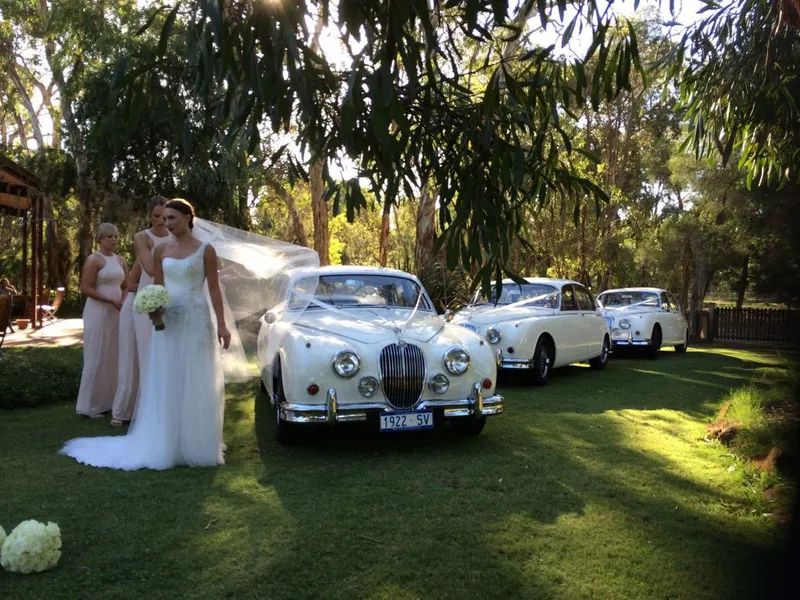 Jaguar Classic Hire photo