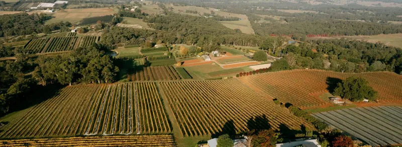 Elmswood Estate Weddings & Events