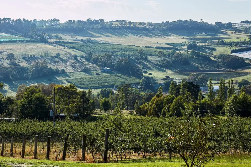 Borrodell Estate photo