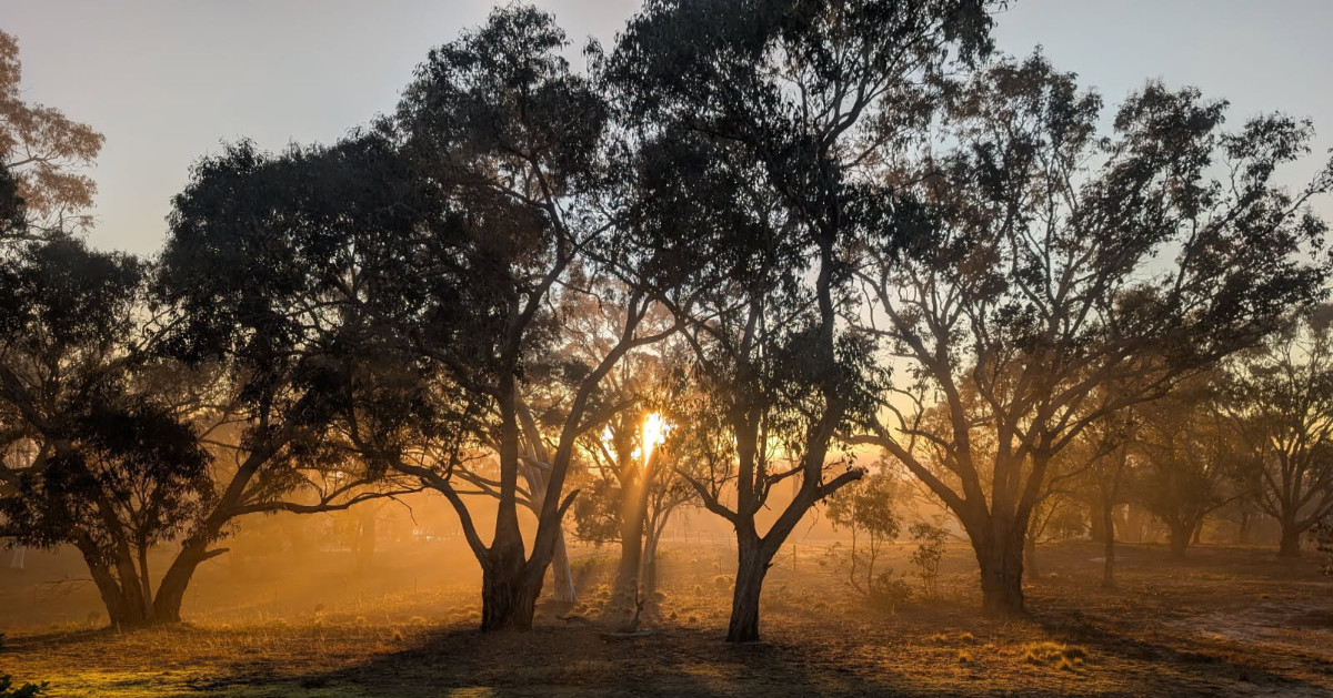 The Wedgetail Pavilion at Goolabri video thumbnail
