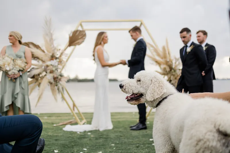 The Sebel Yarrawonga photo