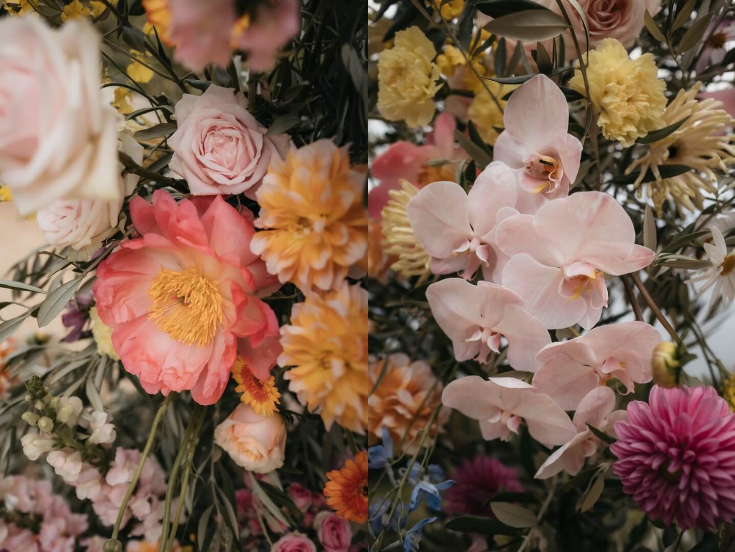 Lime Tree Bower video thumbnail