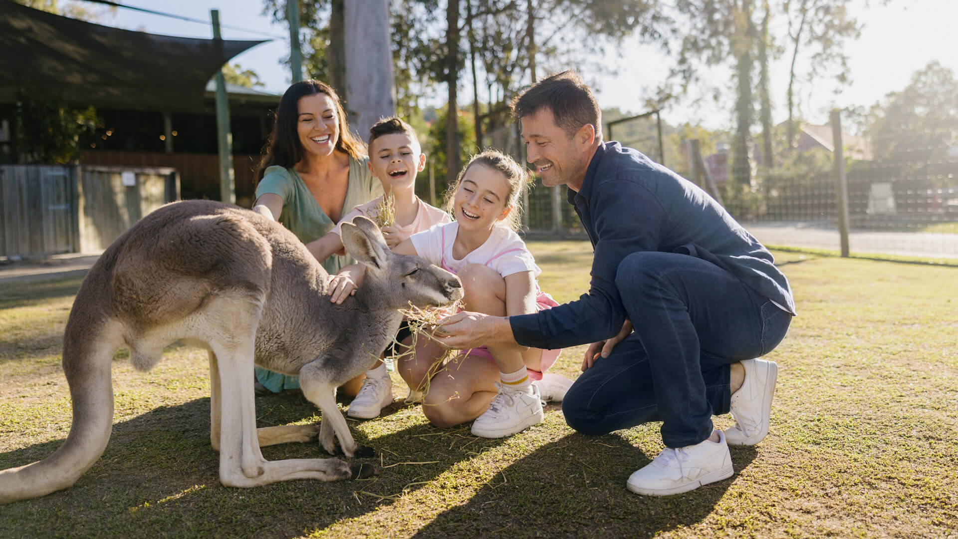 Paradise Country video thumbnail