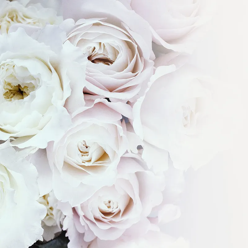 Blaxland Blooms photo