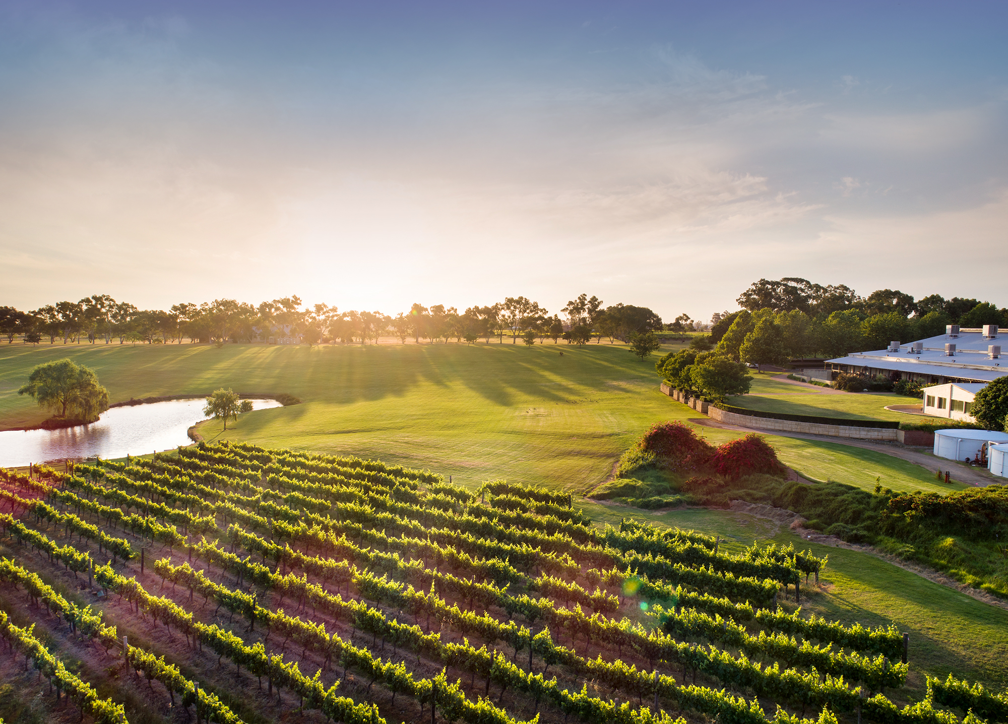 Sandalford Wines video thumbnail