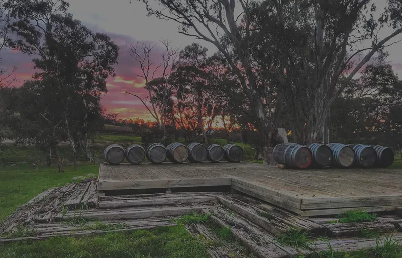 Harcourt Valley Vineyard photo