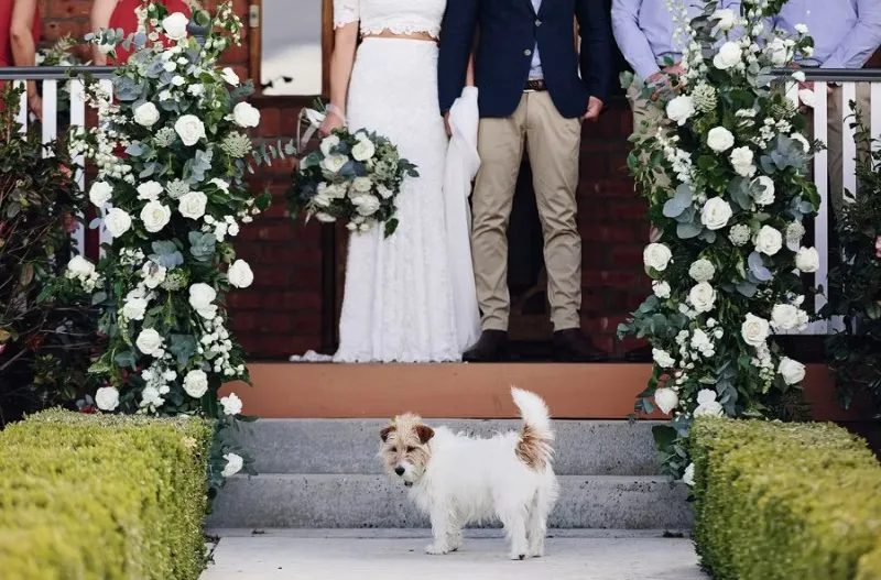 Meka Floral Design & Event Styling photo