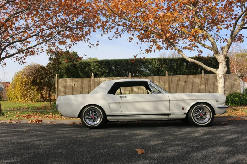 Luxe Pony Co.