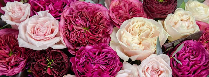 Blooming Events